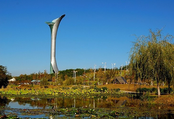 沈阳植物园第 43 张图片