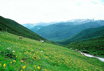 来古冰川第 27 张图片