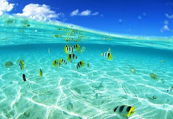 亚龙湾国家旅游度假区第 2 张图片