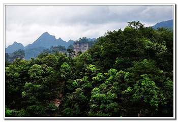 天子山风景区第 69 张图片