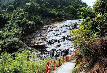 马峦山郊野公园第 12 张图片