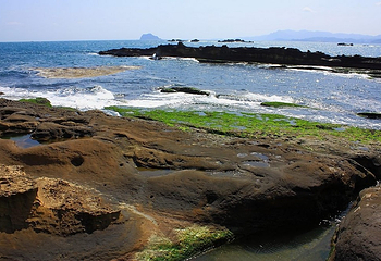 野柳地质公园第 27 张图片