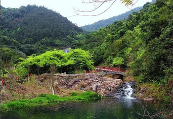 马峦山郊野公园第 7 张图片