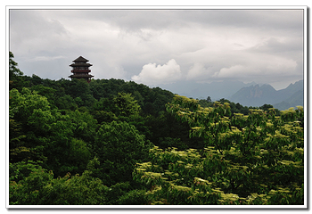 天子山风景区第 66 张图片