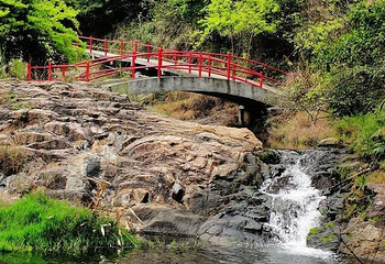马峦山郊野公园第 9 张图片
