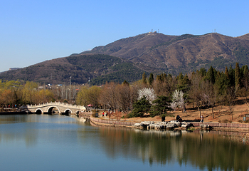 国家植物园(原北京植物园)第 42 张图片