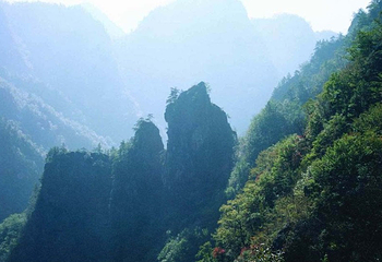 鸭石红豆杉景区第 7 张图片