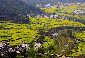 江岭景区第 24 张图片