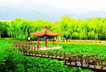 泰山天庭游乐园第 5 张图片