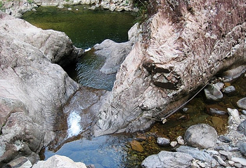 东江源三百山温泉旅游度假区第 24 张图片