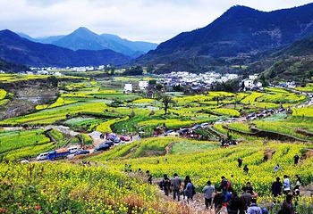 江岭景区第 26 张图片