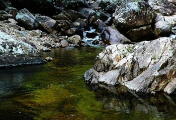 东江源三百山温泉旅游度假区第 23 张图片
