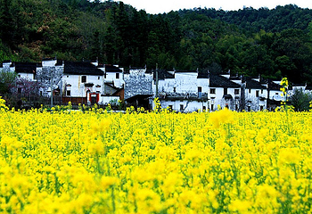 江岭景区第 22 张图片