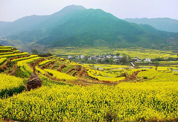 江岭景区第 19 张图片