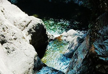 东江源三百山温泉旅游度假区第 22 张图片