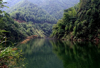 碧湖潭森林公园第 1 张图片