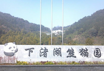 下渚湖熊猫园第 16 张图片