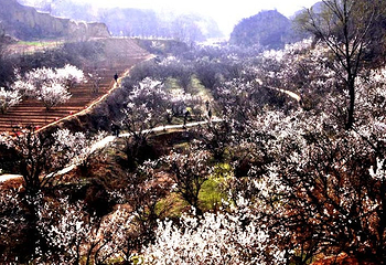 樱桃沟旅游景区第 5 张图片