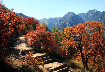 神灵寨风景区第 21 张图片