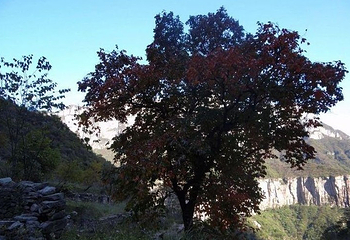 九莲山游览区第 6 张图片