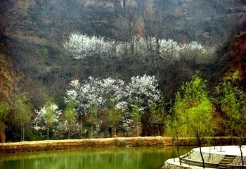红山樱桃沟第 1 张图片