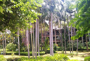 厦门大学(思明校区)第 67 张图片