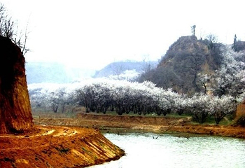 红山樱桃沟第 4 张图片