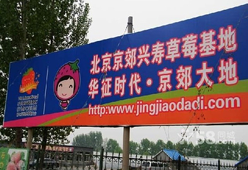 北京京郊兴寿草莓基地第 1 张图片