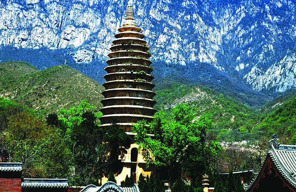 少林寺 嵩阳景区成人联票