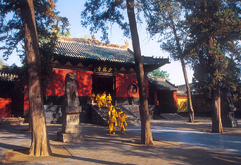 嵩阳景区第 25 张图片