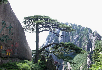 上海至黄山巴士第 3 张图片