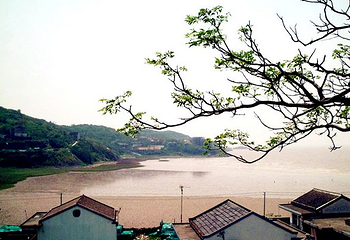 滩浒岛第 5 张图片