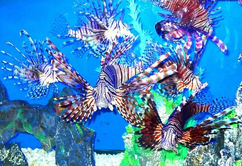 宁波海洋世界第 15 张图片