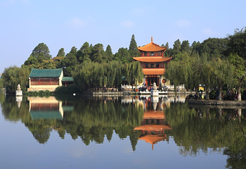 大观公园第 5 张图片