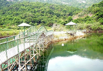 大鹏山第 8 张图片