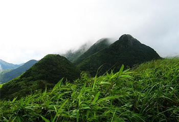大鹏山第 7 张图片