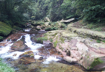 金鞭溪峡谷第 48 张图片