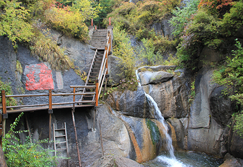 芦芽山旅游度假区第 121 张图片