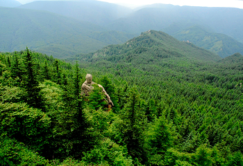 芦芽山旅游度假区第 162 张图片