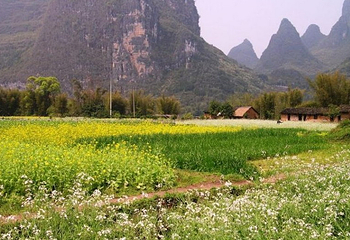 杨堤第 4 张图片