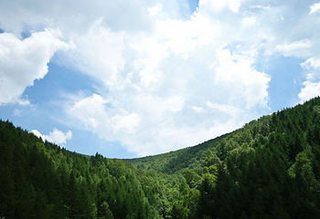 海坨山风景区第 17 张图片