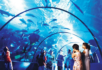 奇趣海洋世界第 7 张图片