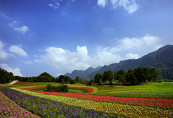 红池坝高山草场第 9 张图片
