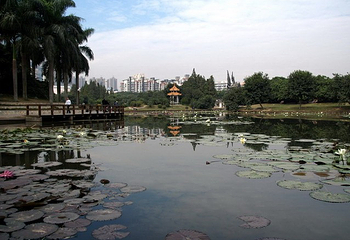 四海公园第 5 张图片
