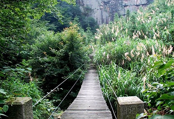 石莲古寺第 5 张图片