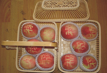 阳山水蜜桃采摘基地第 5 张图片