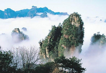 醉罗汉第 4 张图片