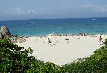 大长山岛第 16 张图片