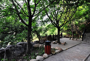 莲花山公园第 24 张图片