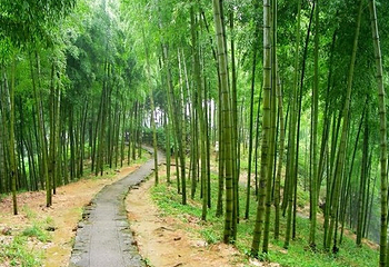 金家山遗址第 2 张图片